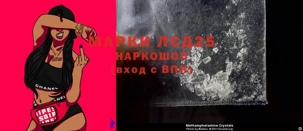 ГАЛЛЮЦИНОГЕННЫЕ ГРИБЫ Михайлов