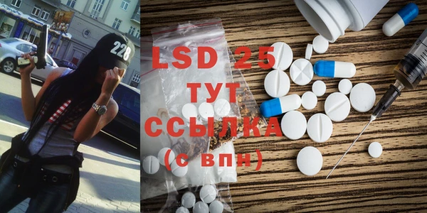 ГАЛЛЮЦИНОГЕННЫЕ ГРИБЫ Михайлов