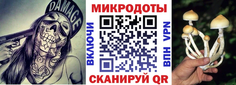 Галлюциногенные грибы ЛСД Шагонар