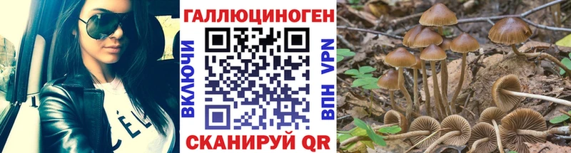 Псилоцибиновые грибы MAGIC MUSHROOMS  Шагонар 