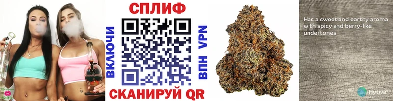 МАРИХУАНА SATIVA & INDICA  Шагонар 